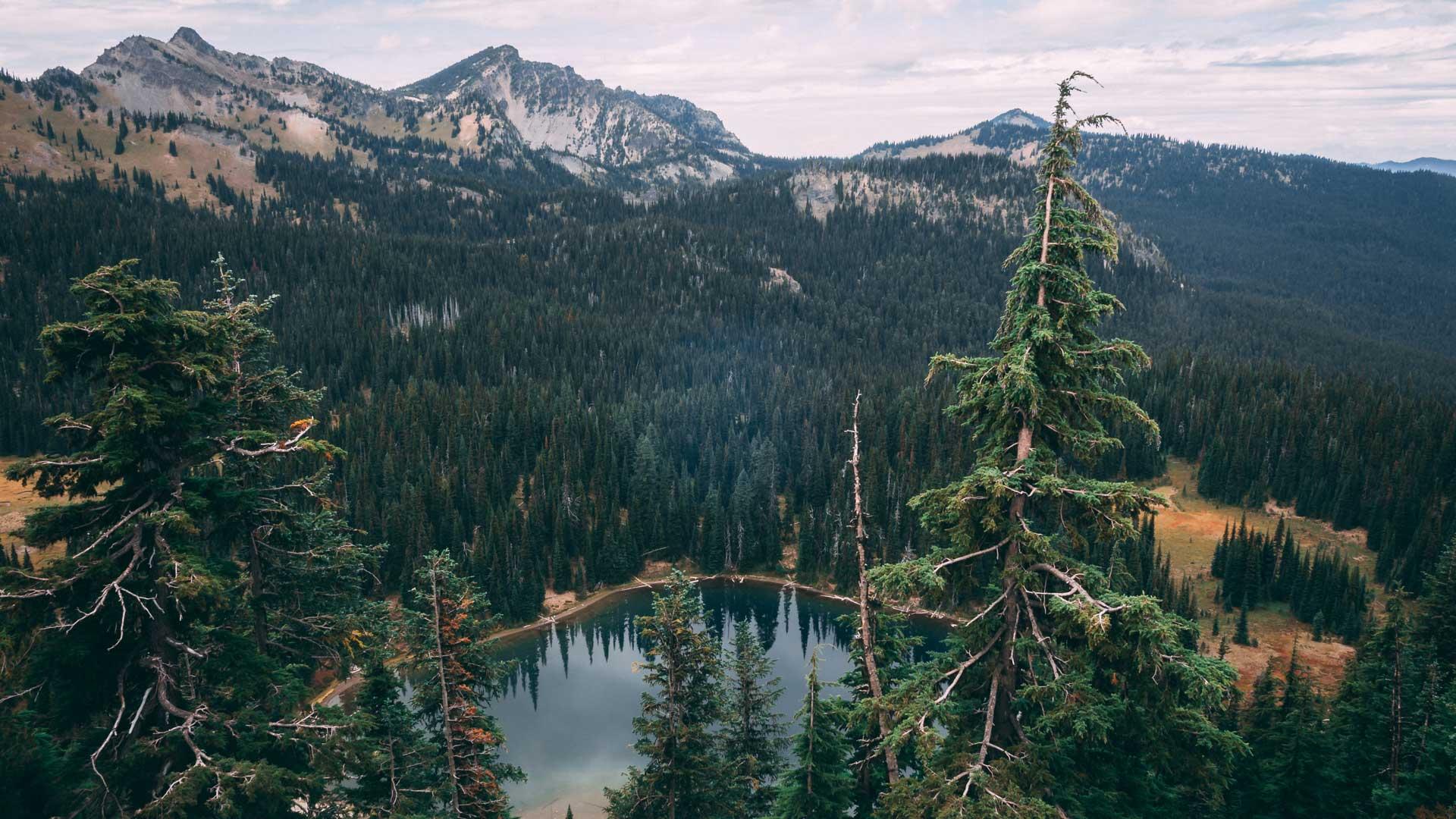 Privacy Policy - Seattle Nature View